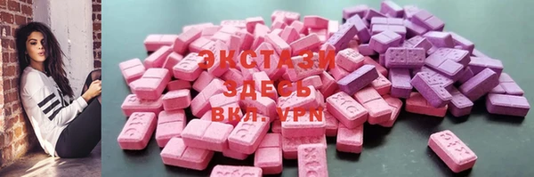 индика Кулебаки