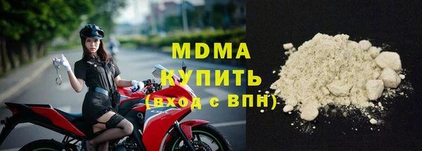 индика Кулебаки