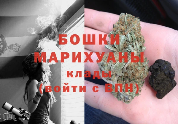 индика Кулебаки