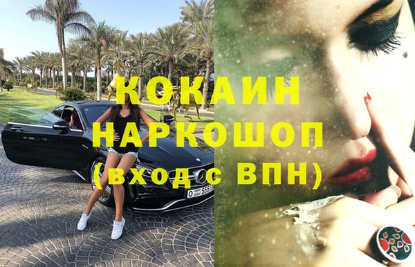 индика Кулебаки