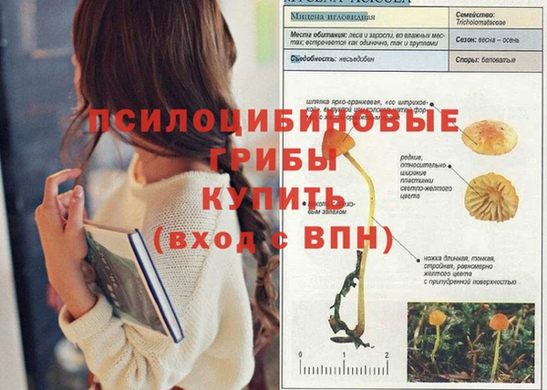 соль курить ск Корсаков